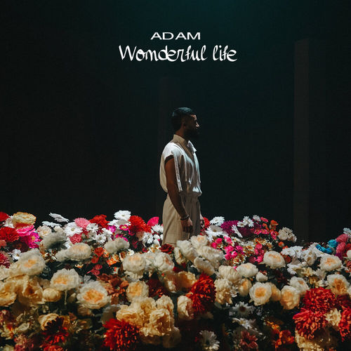 Adam - Wonderful Life