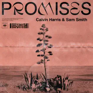 Calvin Harris - Promises (feat. Sam Smith)