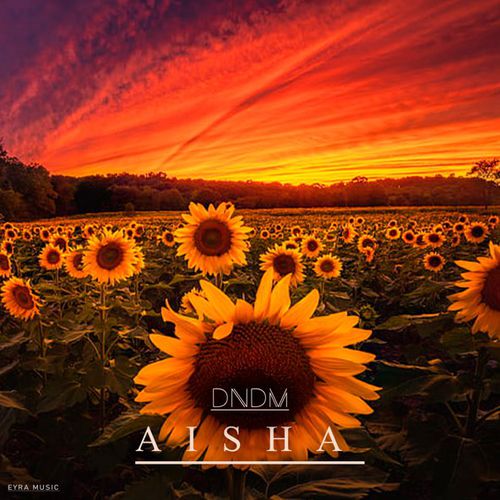 Dndm - Aisha