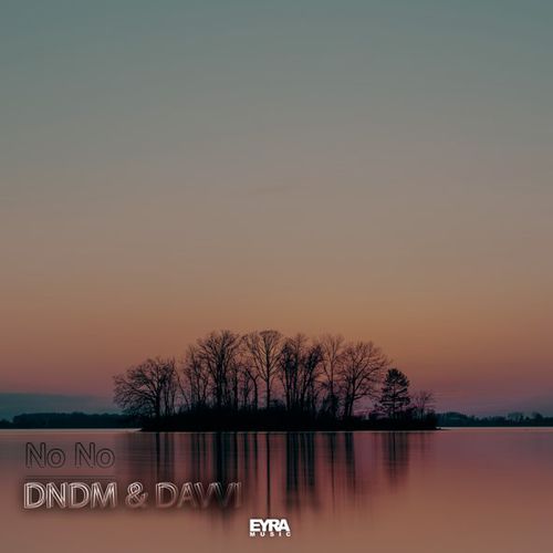 DNDM - No No (feat. Davvi)