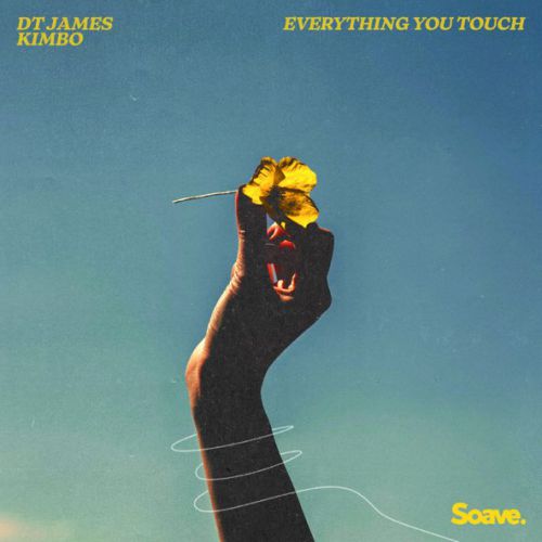 DT James - Everything You Touch (feat. Kimbo)