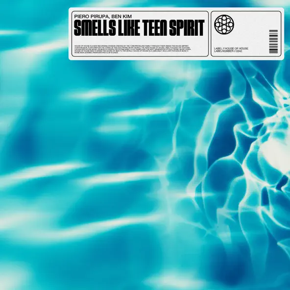 Piero Pirupa - Smells Like Teen Spirit (feat. Ben Kim)