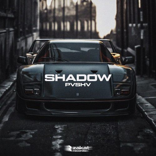 Pvshv - Shadow