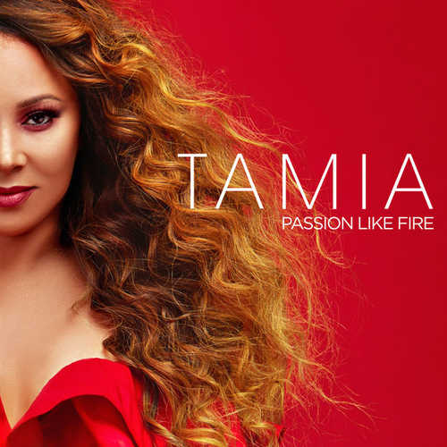 Tamia - If I Had To Choose