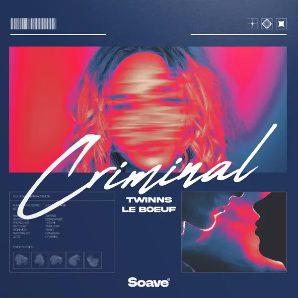 Twinns - Criminal (feat. Le Boeuf)