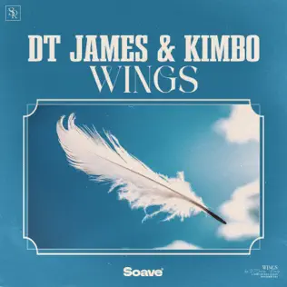 DT James - Wings (feat. Kimbo)