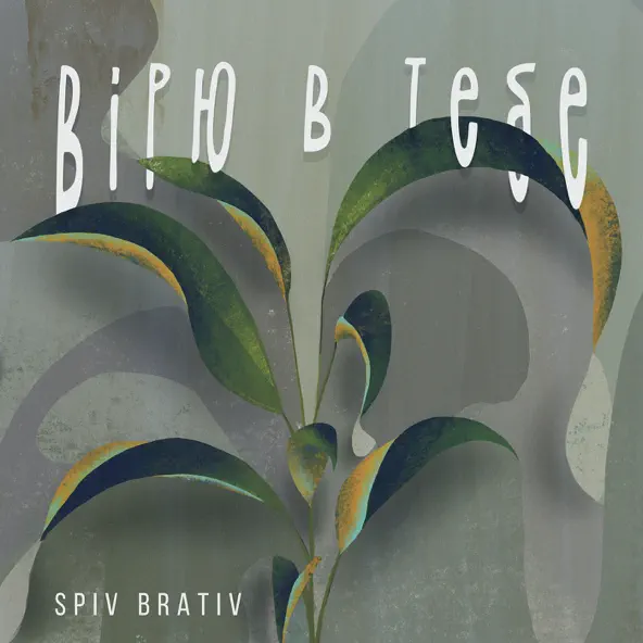 Spiv Brativ - Вірю В Тебе